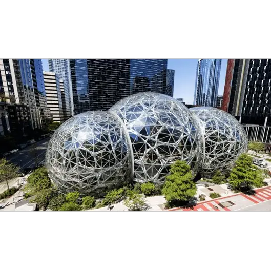 Público Alvo Público Alvo